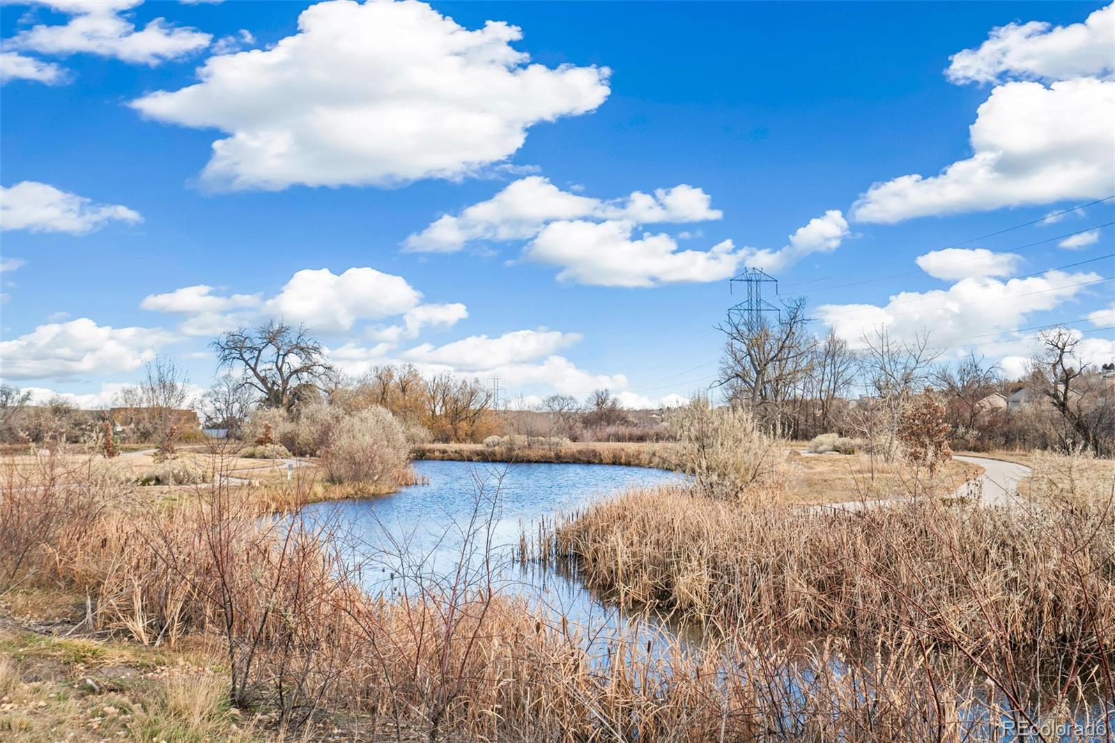 12213 W 57th Lane Arvada CO 80002