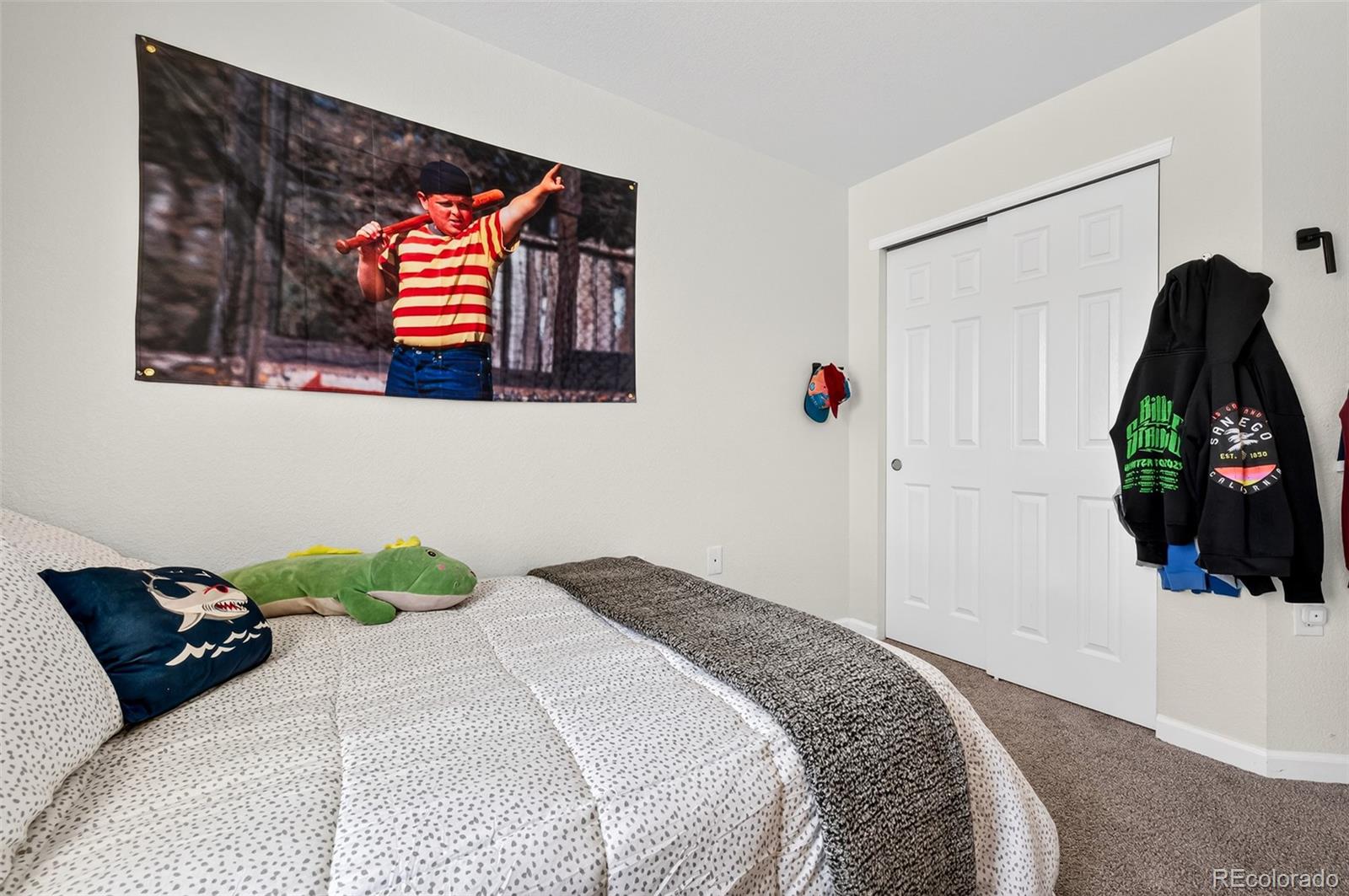 1541 Dawson Butte Way Castle Rock CO 80109