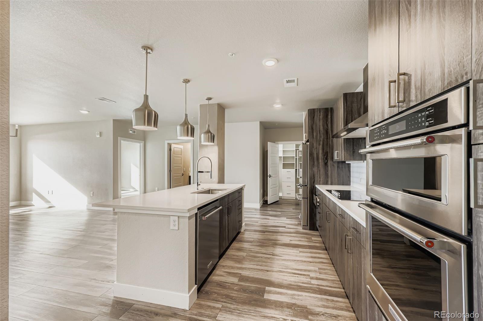 20 Wilcox Street Castle Rock CO 80104