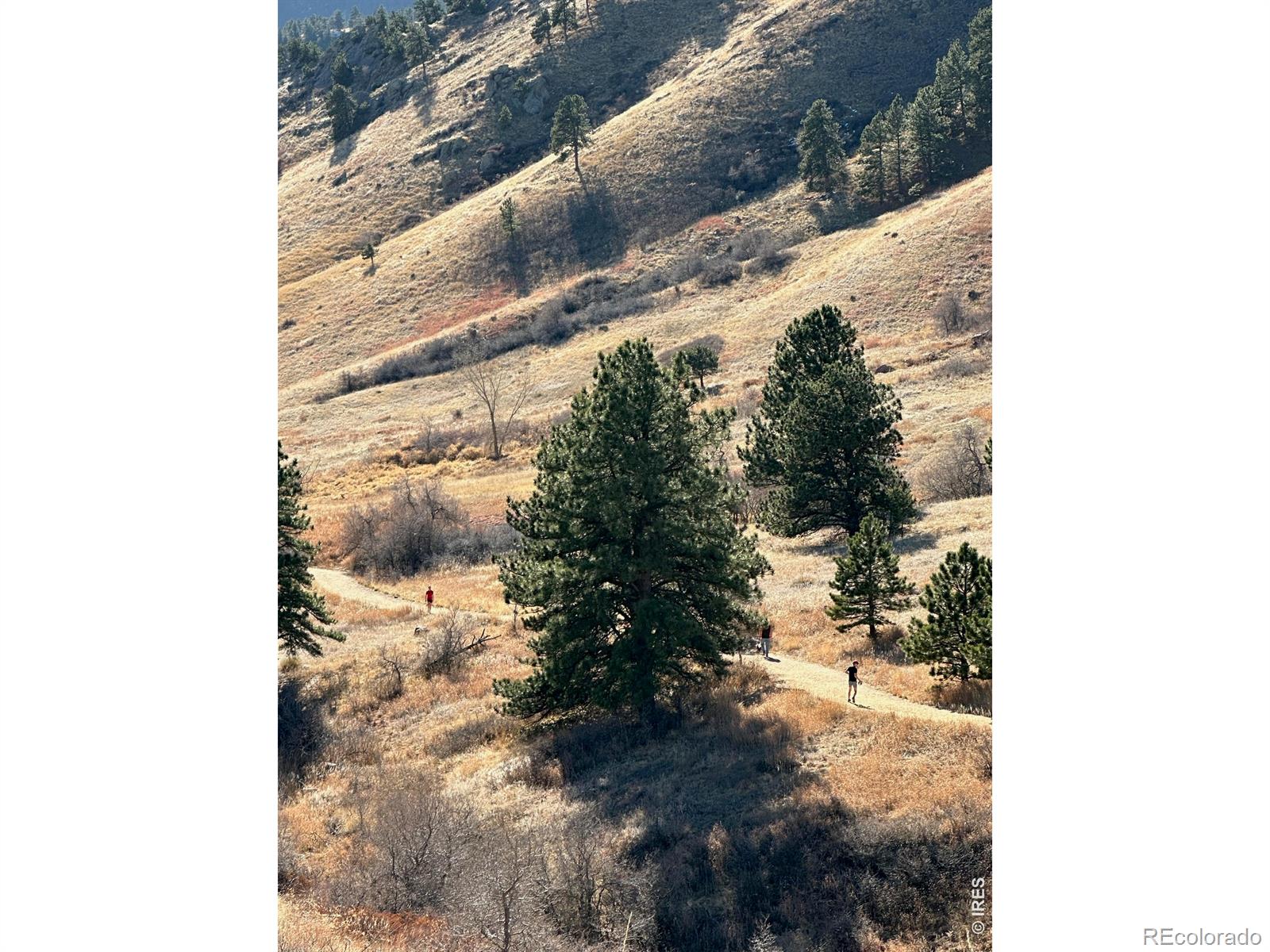 2463 Broadway Street Boulder CO 80304