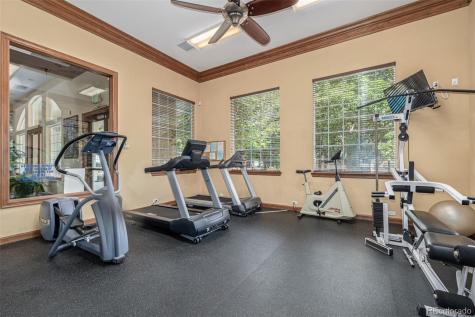 3976 Riviera Grove Colorado Springs CO 80922