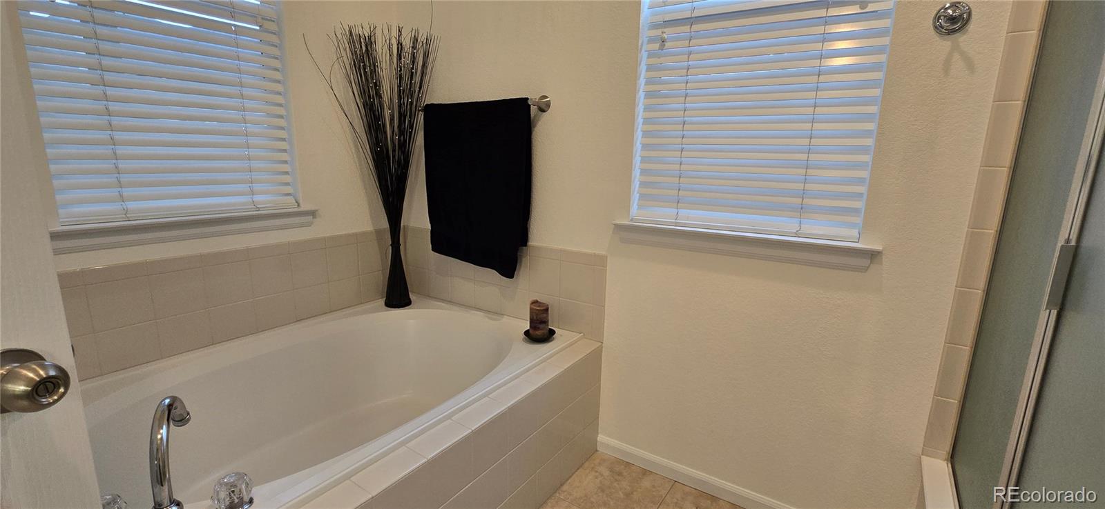 665 W Burgundy Street Highlands Ranch CO 80129