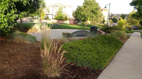 665 W Burgundy Street Highlands Ranch CO 80129