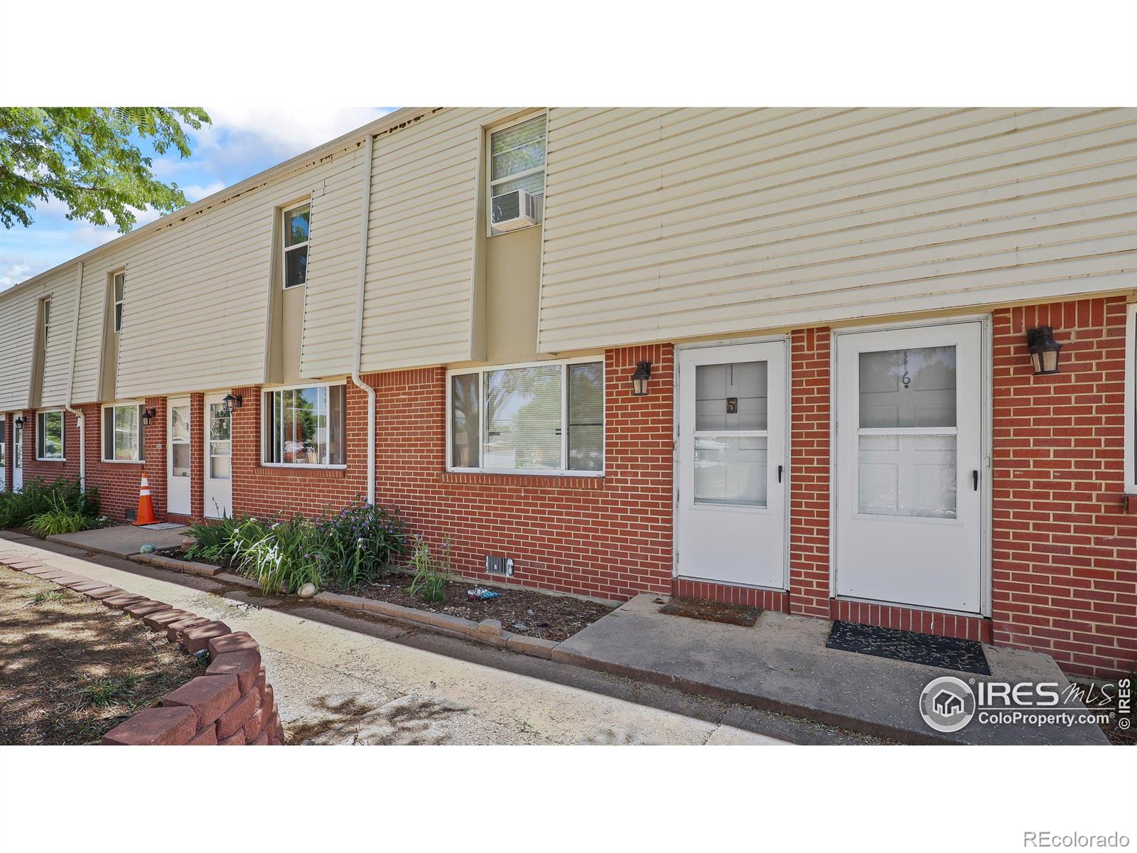 215 Chestnut Street Windsor CO 80550
