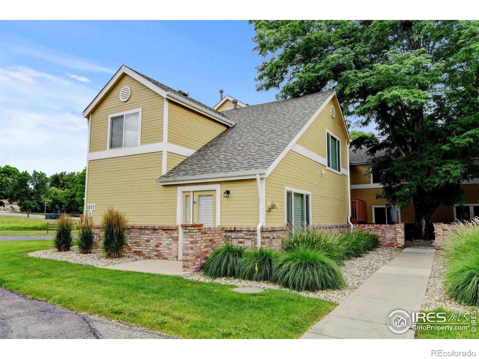 1021 Rolland Moore Drive Fort Collins CO 80526