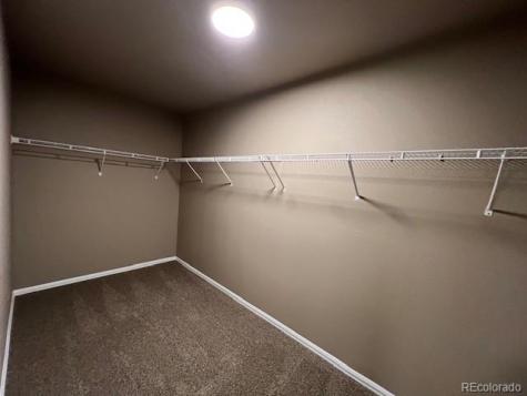 7806 Carrside Grove Colorado Springs CO 80951