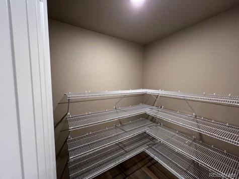 7806 Carrside Grove Colorado Springs CO 80951