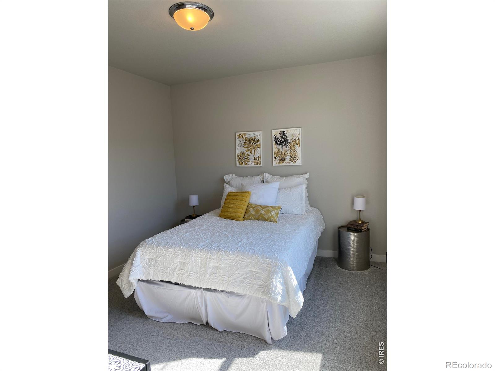 4110 S Park Drive Loveland CO 80538