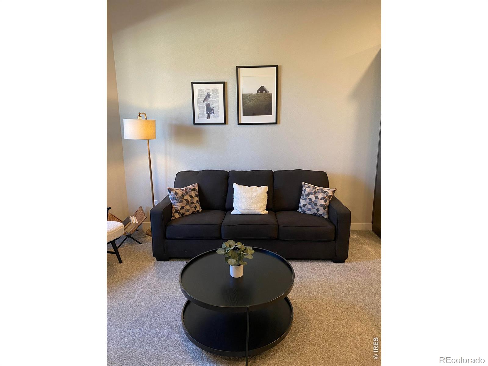 4110 S Park Drive Loveland CO 80538