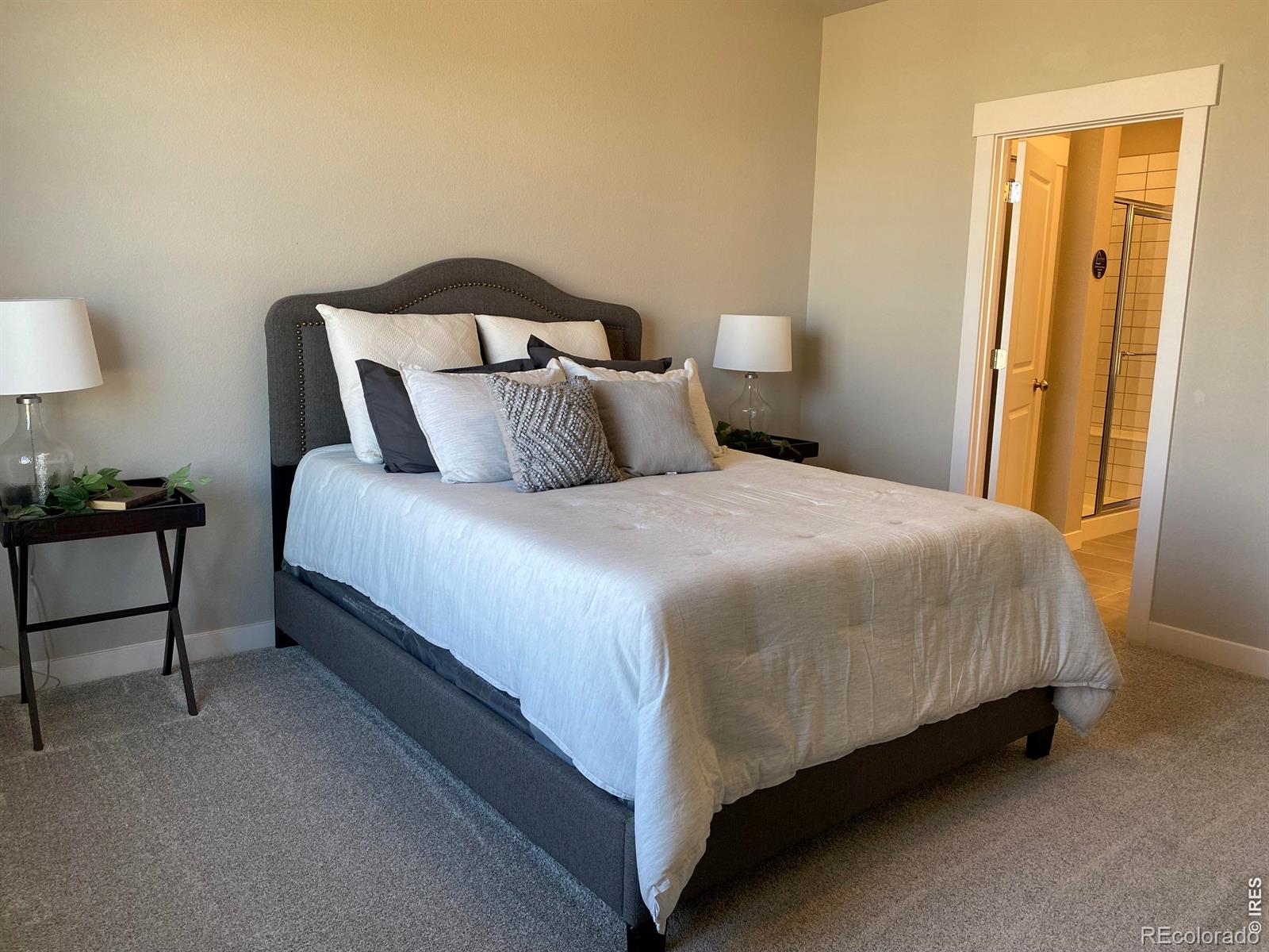 4110 S Park Drive Loveland CO 80538