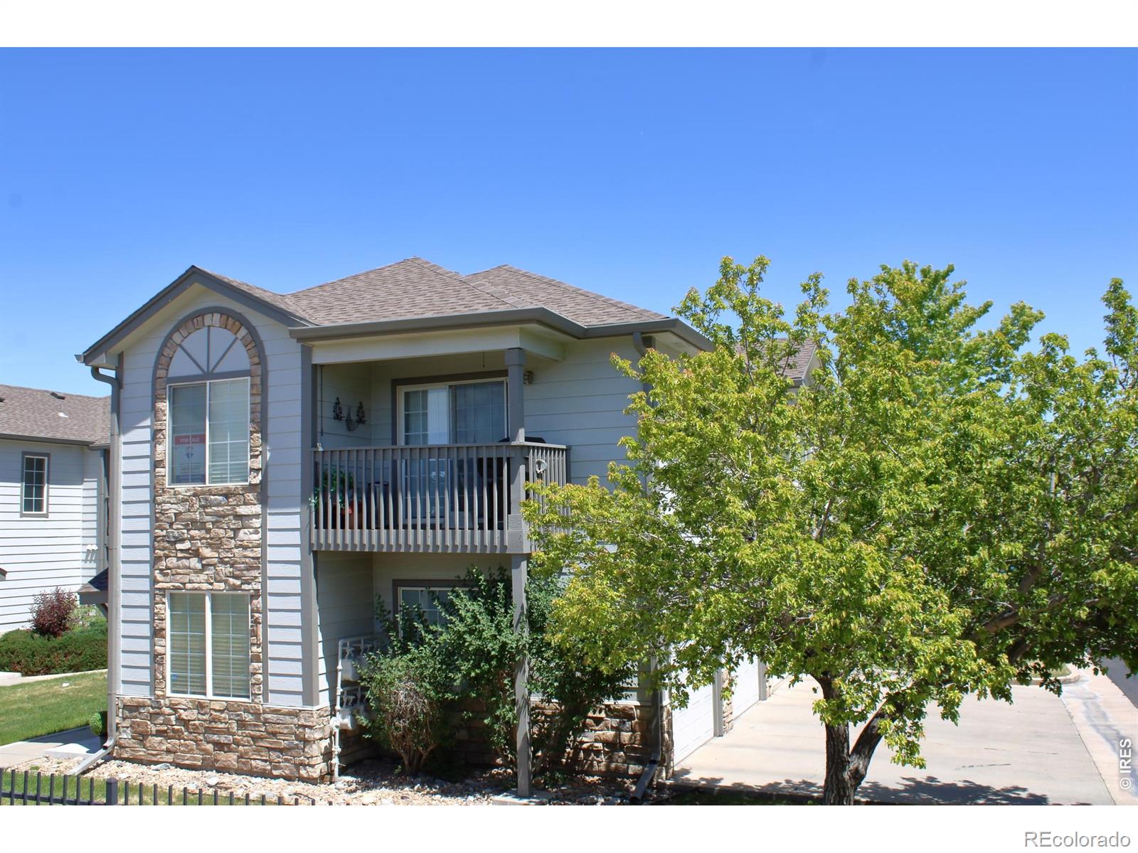 10371 Cook Way Thornton CO 80229
