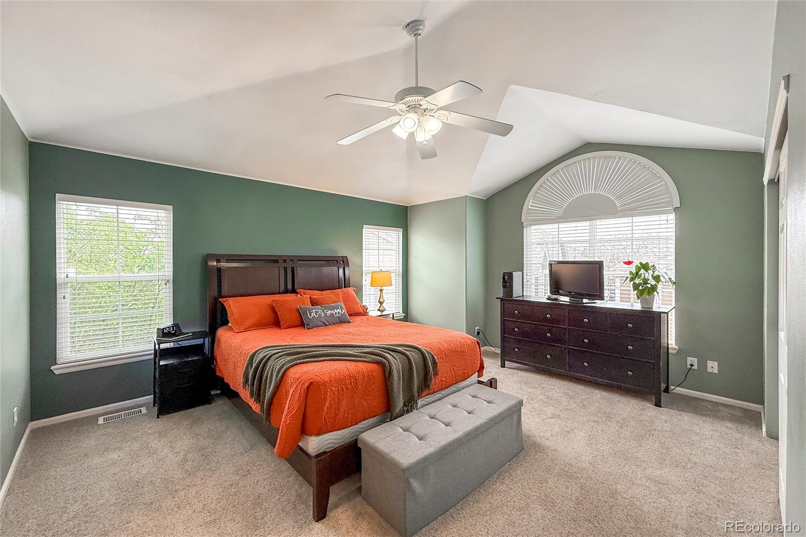 1234 Carlyle Park Circle Highlands Ranch CO 80129