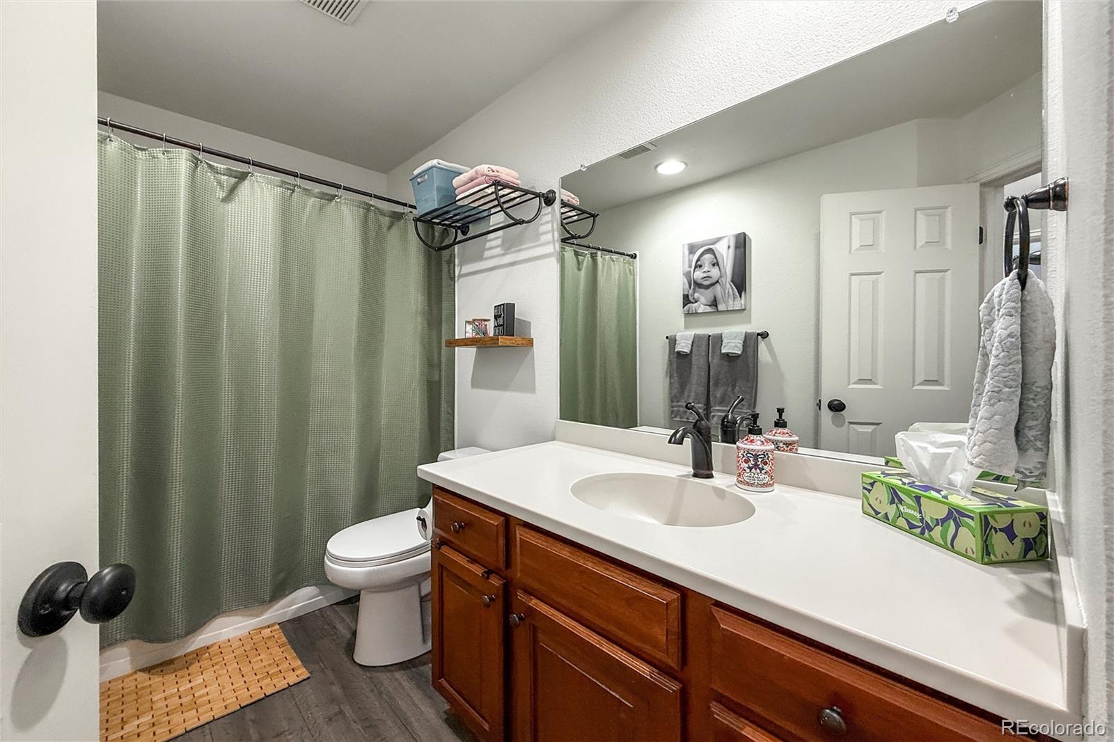 1234 Carlyle Park Circle Highlands Ranch CO 80129