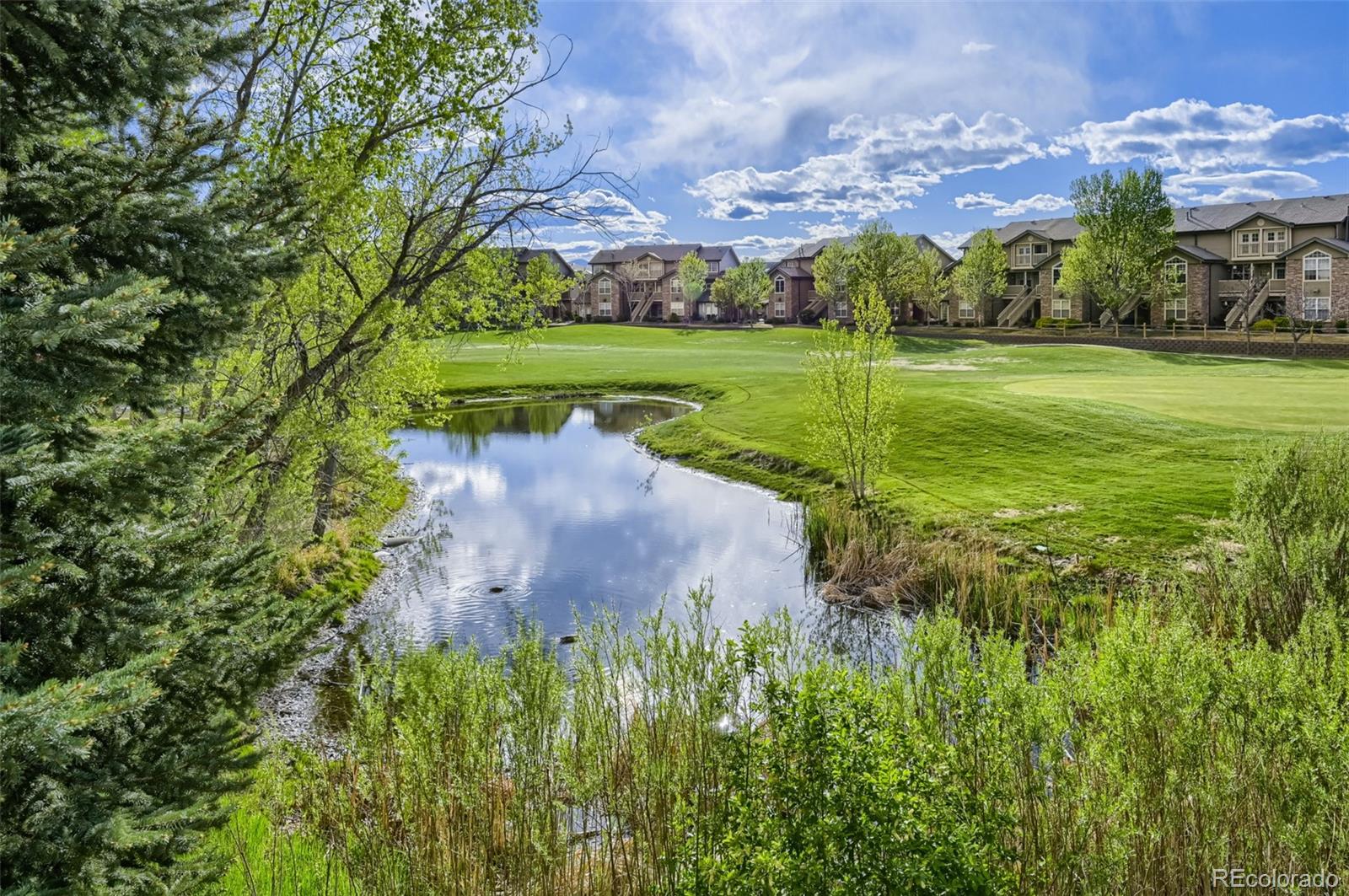 2894 W Riverwalk Circle Littleton CO 80123