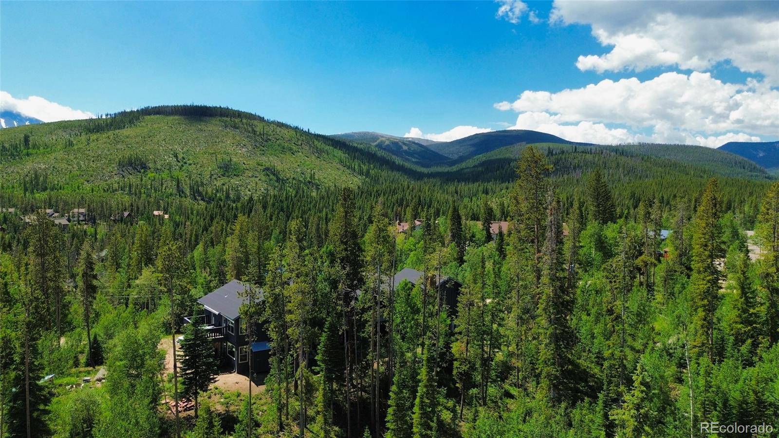 121 Elk Trail Winter Park CO 80482