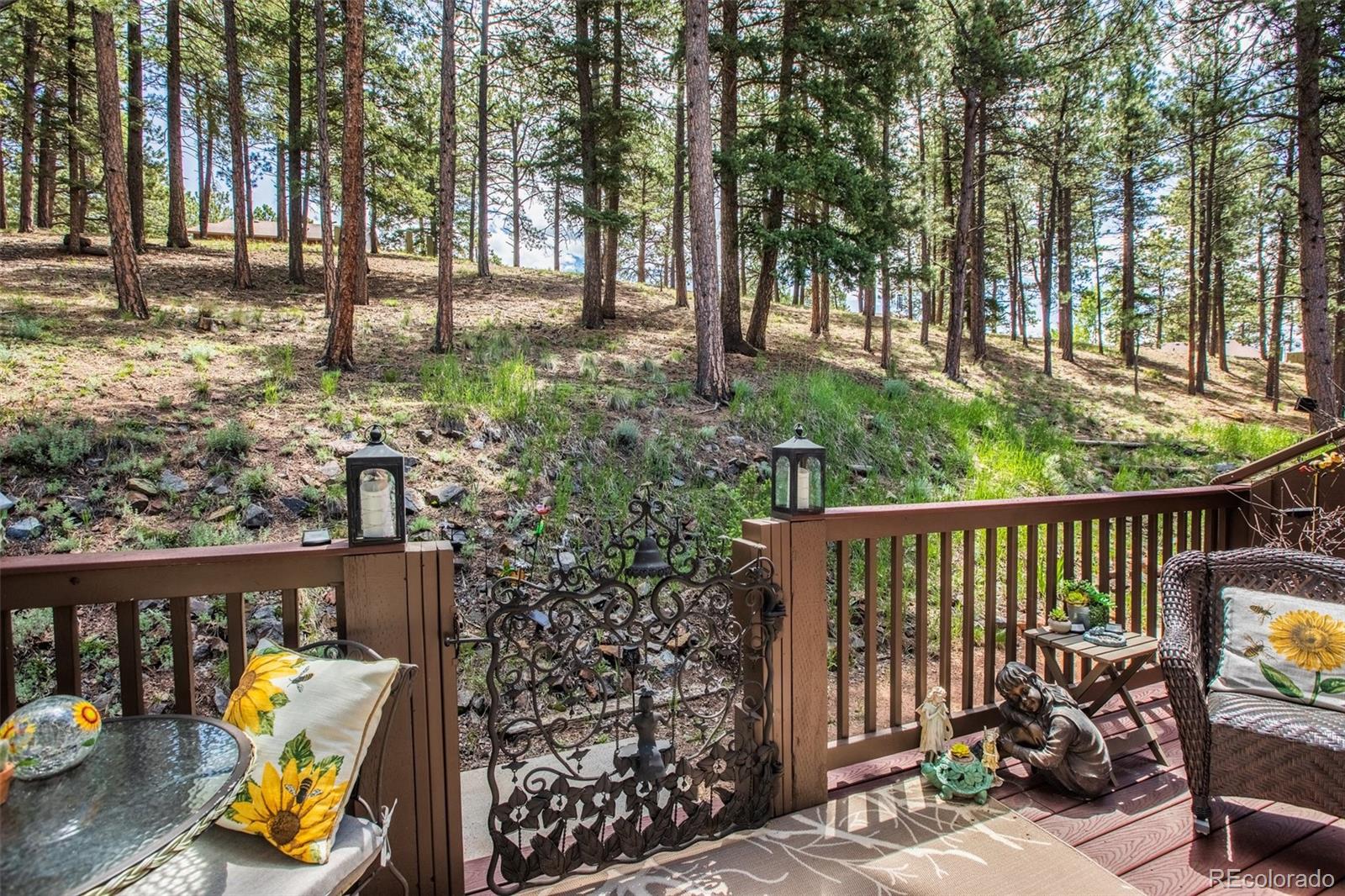560 Manor Court Woodland Park CO 80863