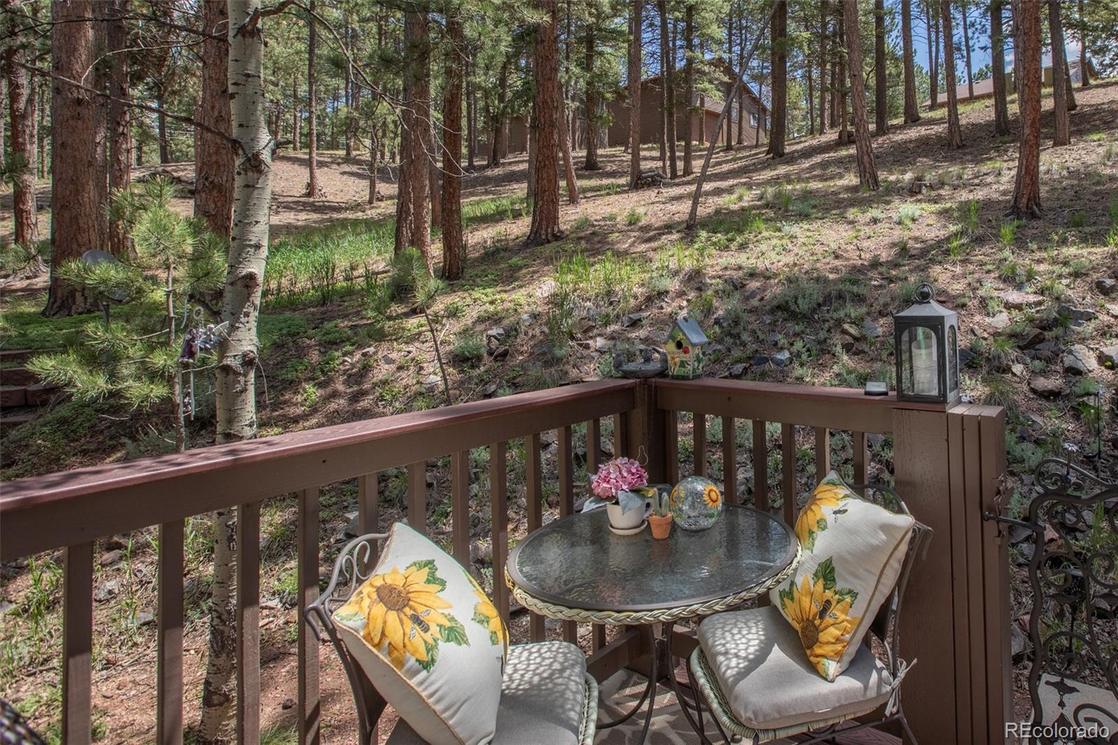 560 Manor Court Woodland Park CO 80863