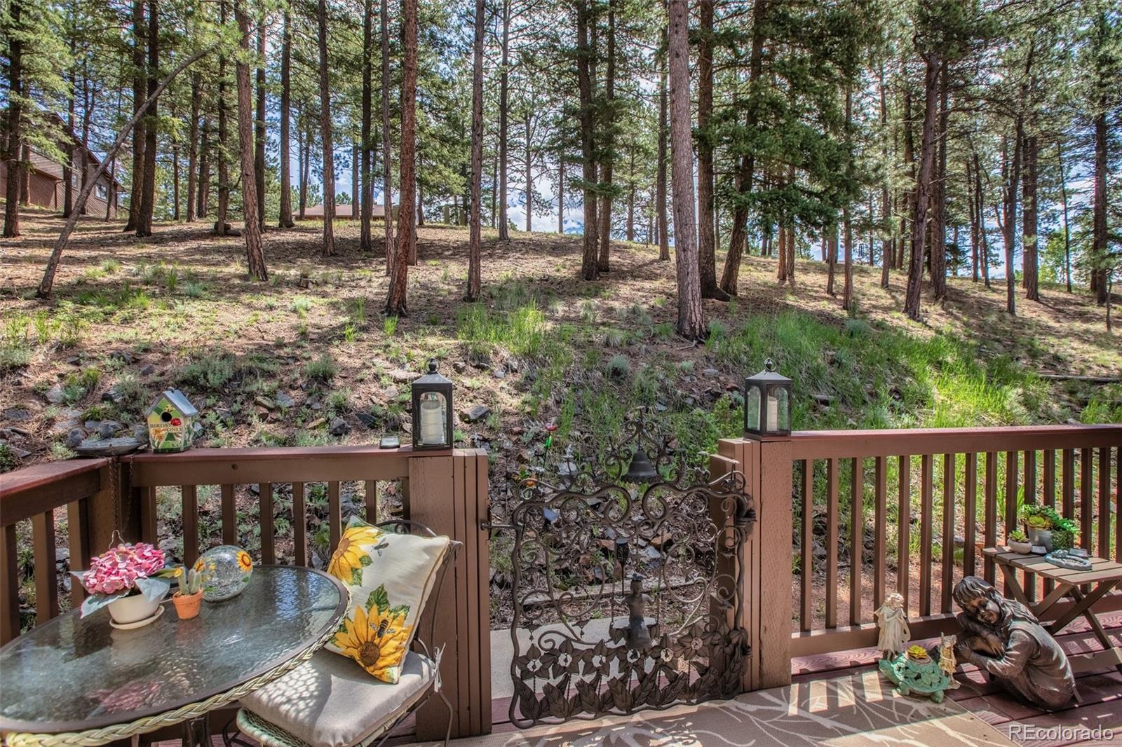 560 Manor Court Woodland Park CO 80863