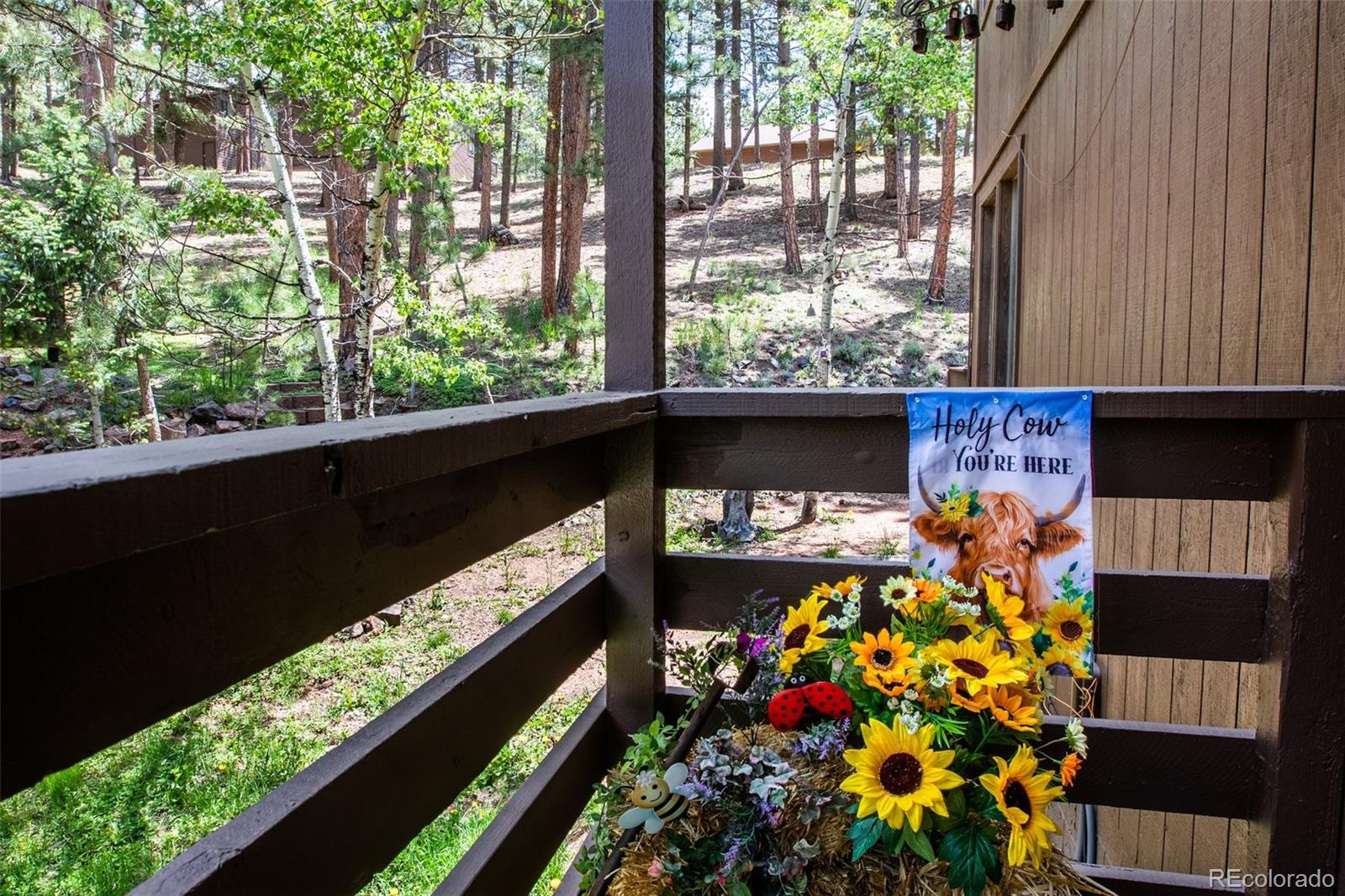 560 Manor Court Woodland Park CO 80863
