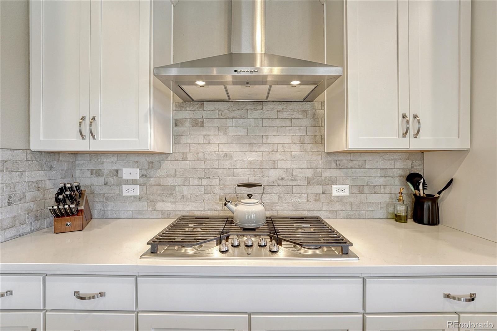 7289 S Millbrook Court Aurora CO 80016