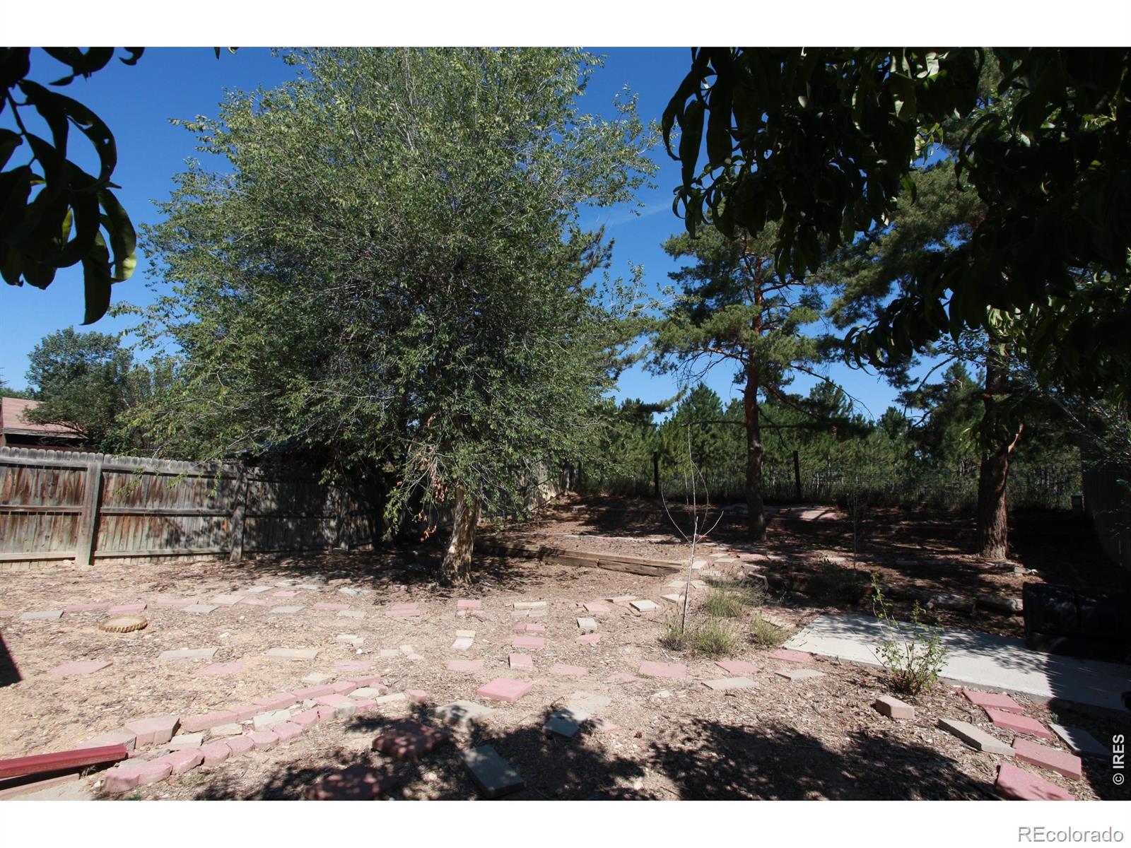 2908 W Olive Street Fort Collins CO 80521