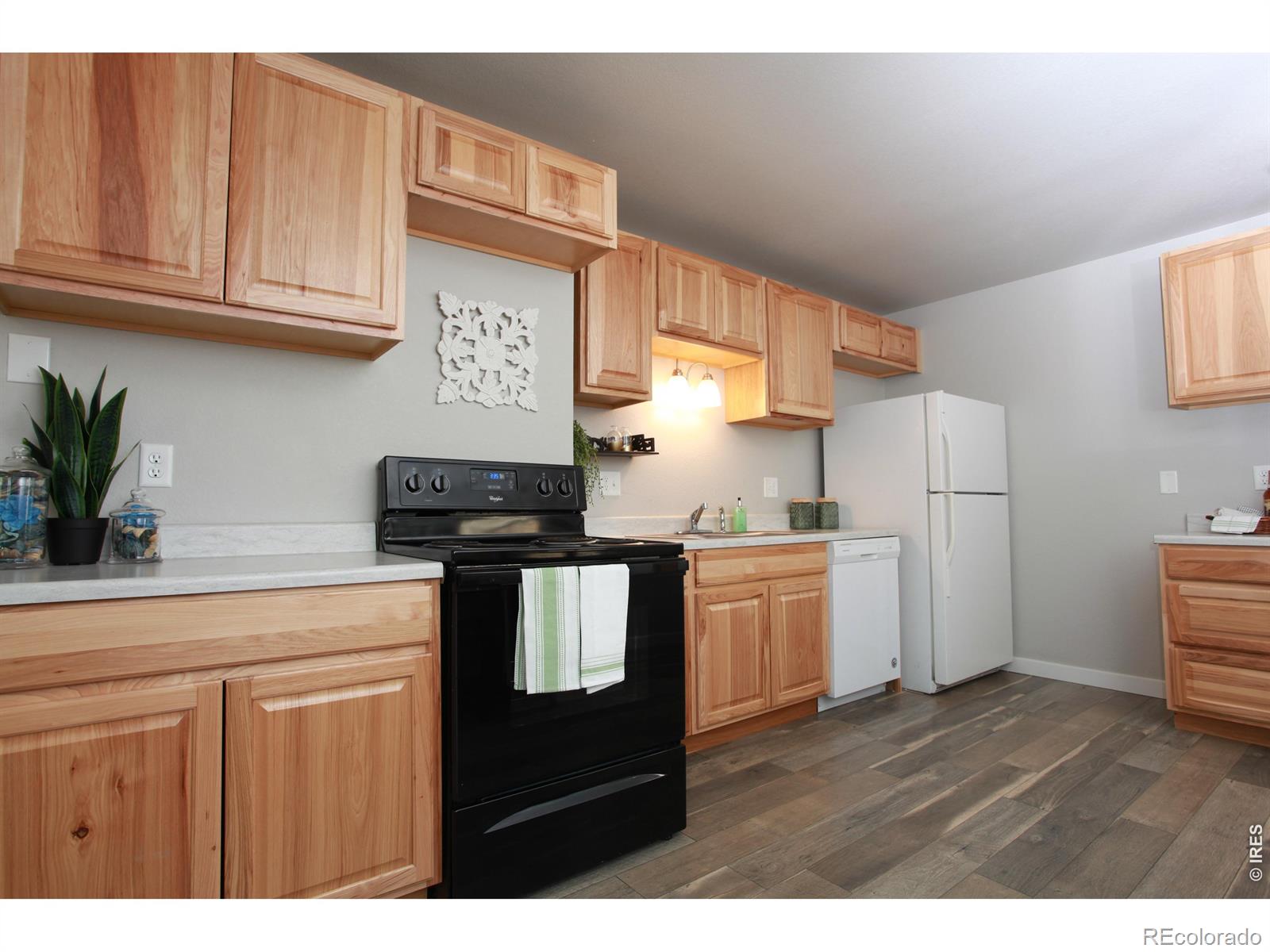 2908 W Olive Street Fort Collins CO 80521