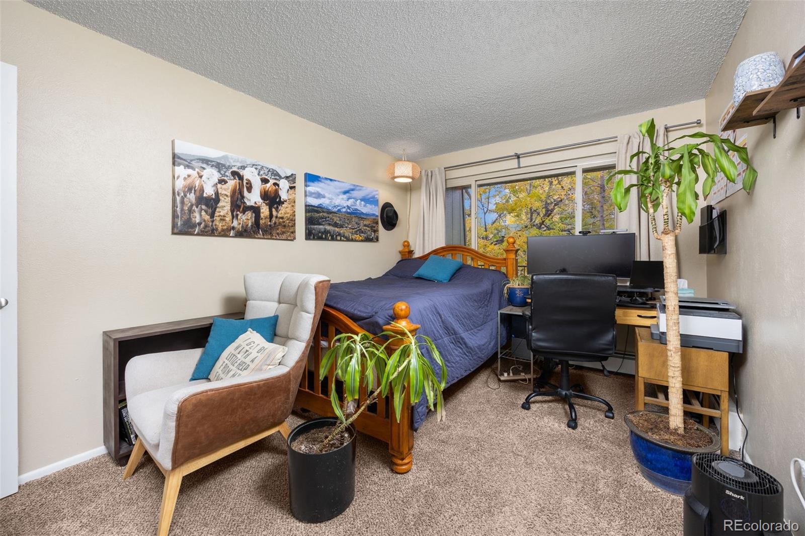 3771 Quail Street Wheat Ridge CO 80033
