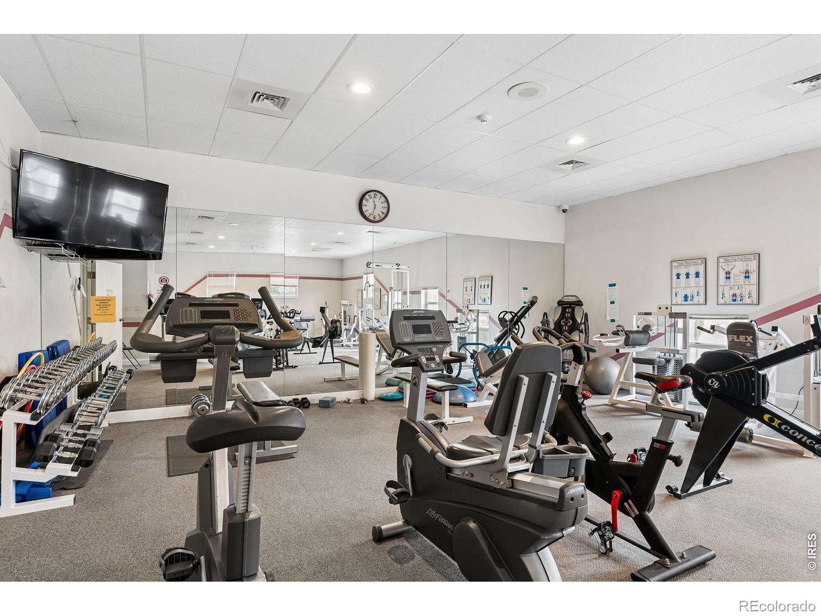 2897 W Riverwalk Circle Littleton CO 80123