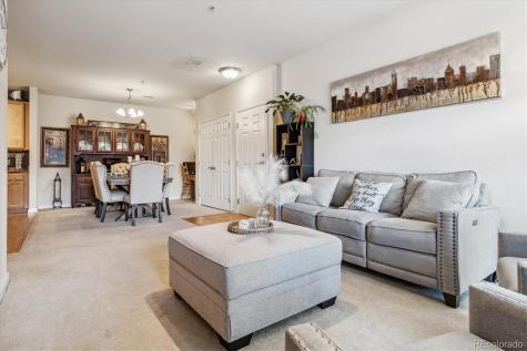 9370 Las Ramblas Court Parker CO 80134