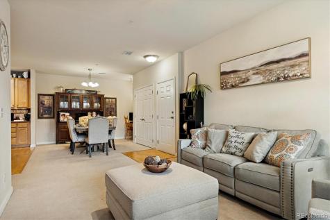 9370 Las Ramblas Court Parker CO 80134