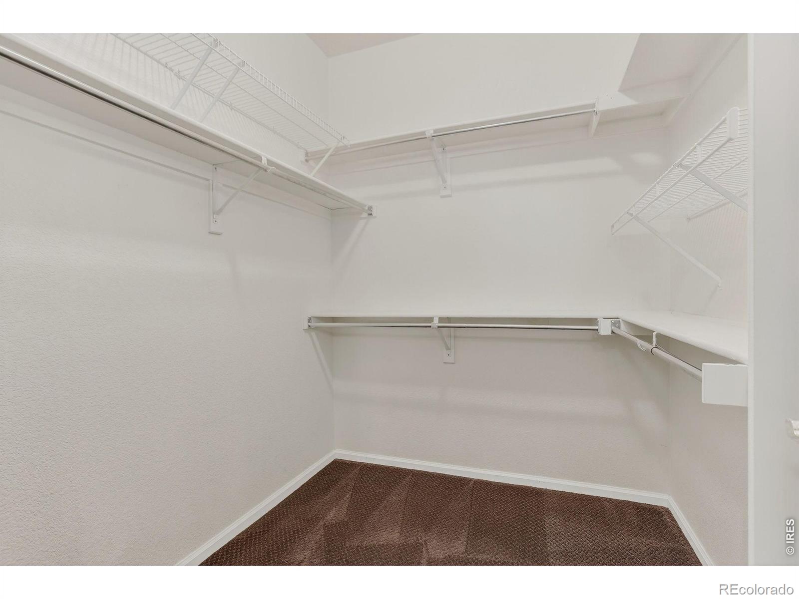 1703 Whitehall Drive Longmont CO 80504