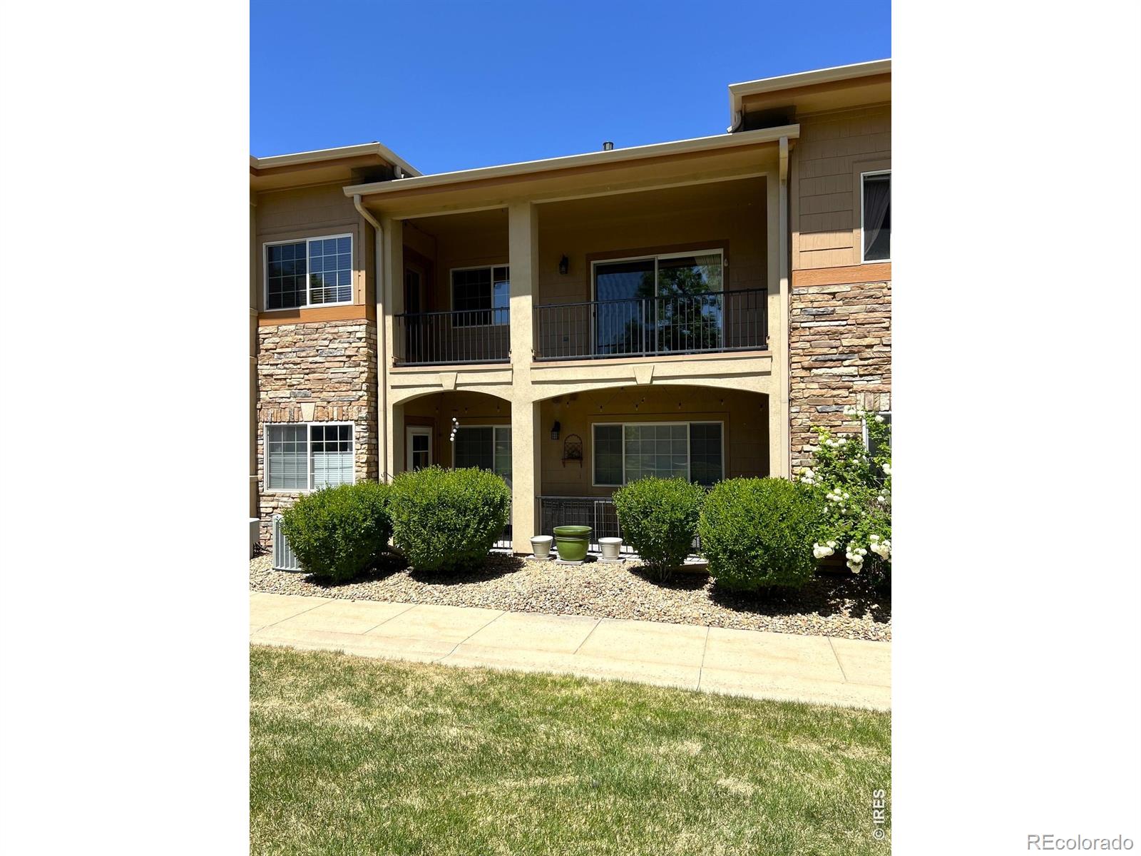 1703 Whitehall Drive Longmont CO 80504