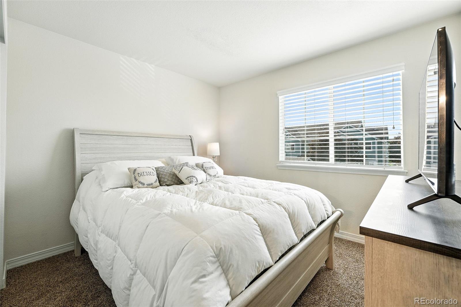 2567 Cutters Circle Castle Rock CO 80108