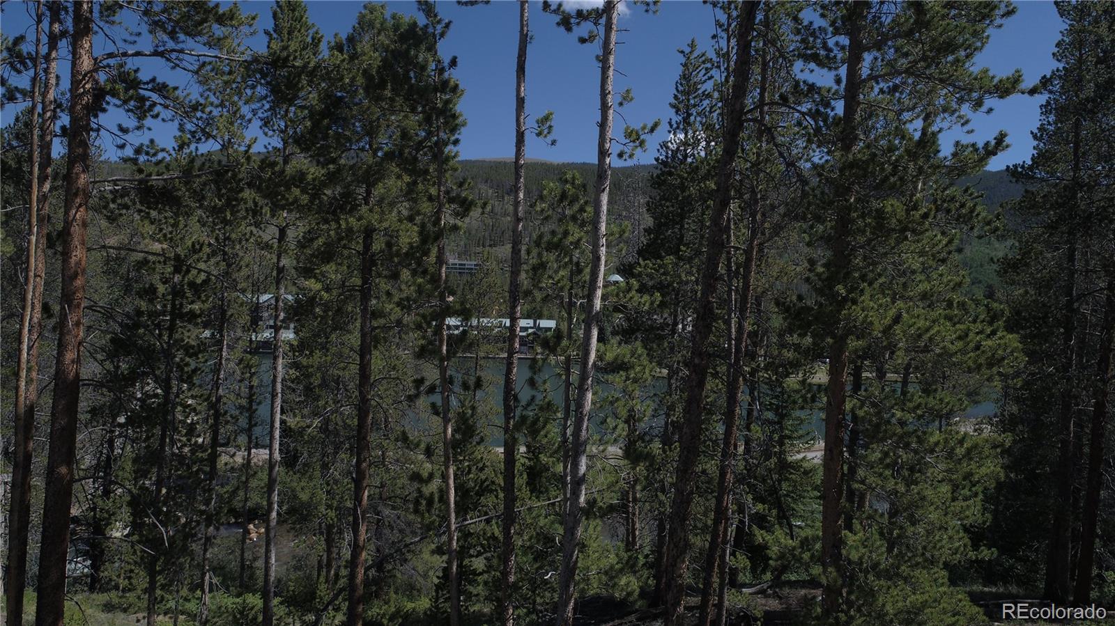 0125 Lake Ridge Circle Keystone CO 80435