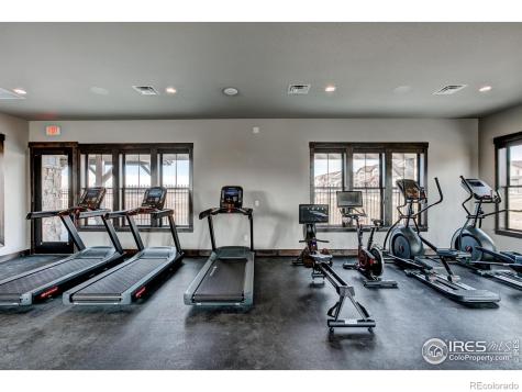 6224 Vernazza Way Windsor CO 80550