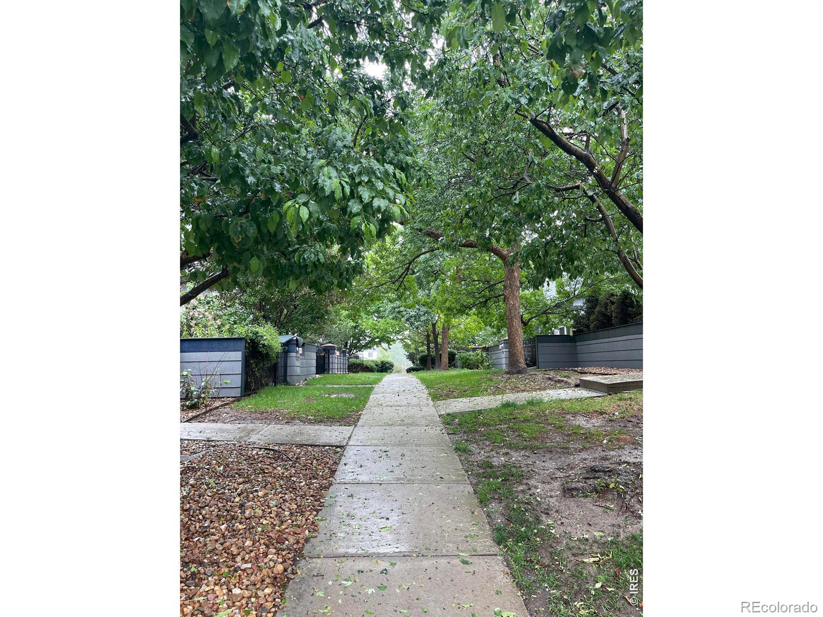 3632 Oakwood Drive Longmont CO 80503
