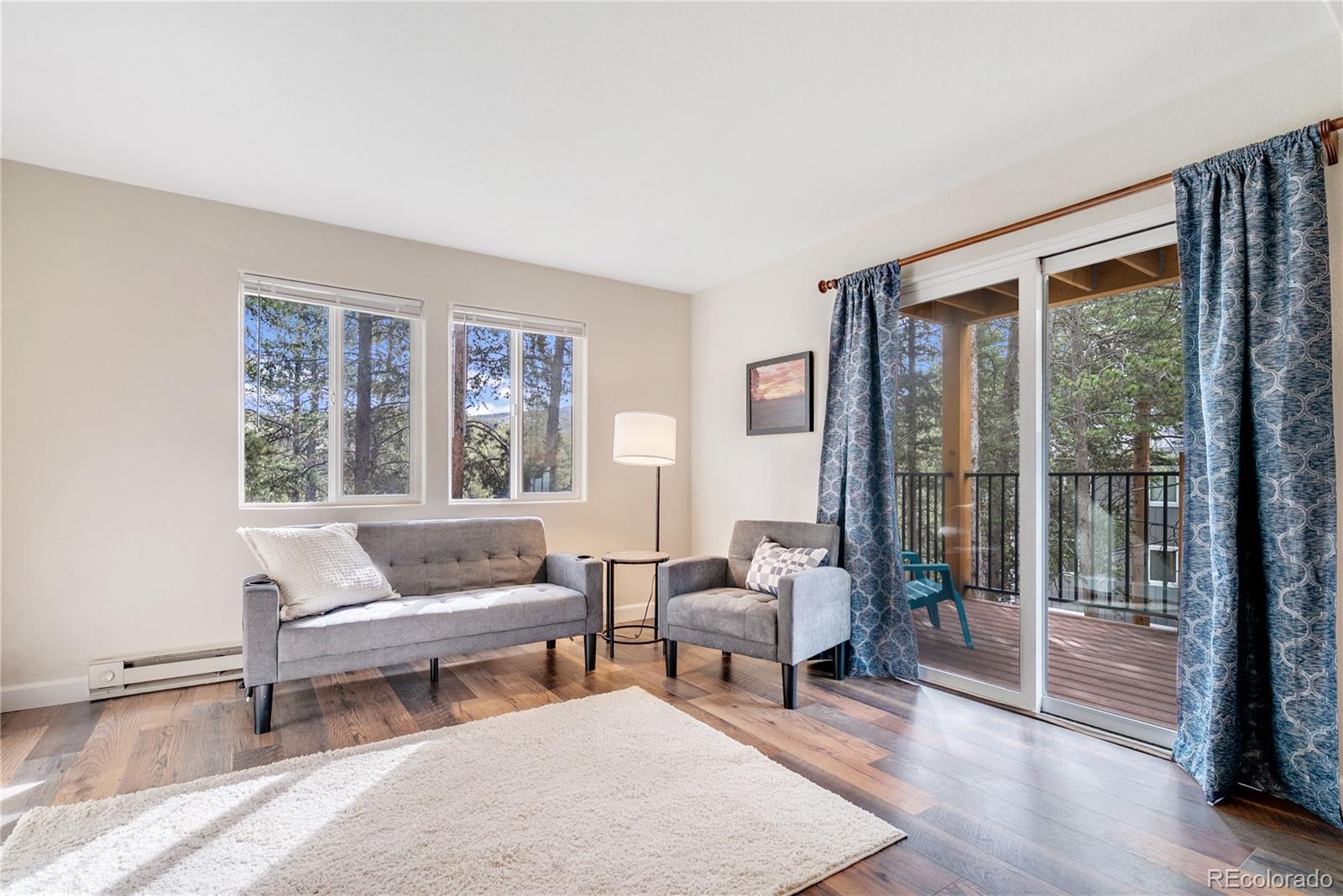 110 Now Colorado Court Breckenridge CO 80424