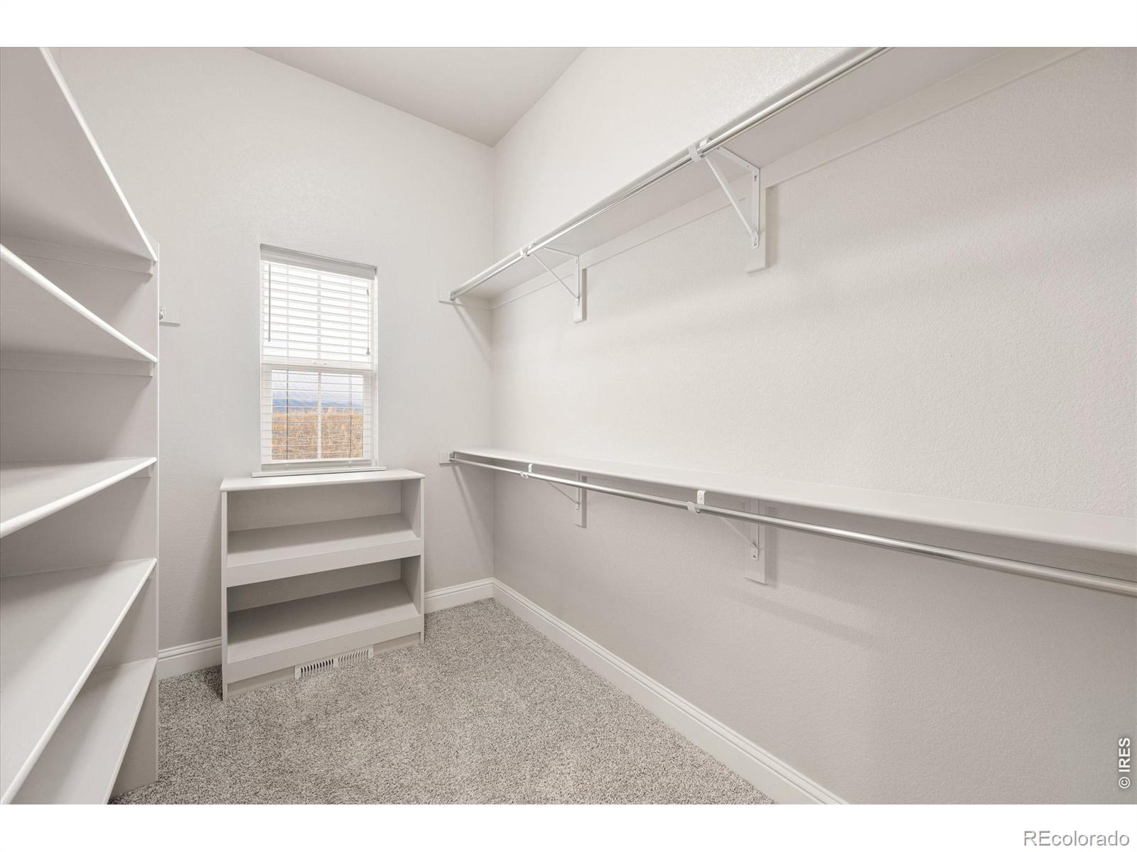 2611 Prairie Flax Street Berthoud CO 80513