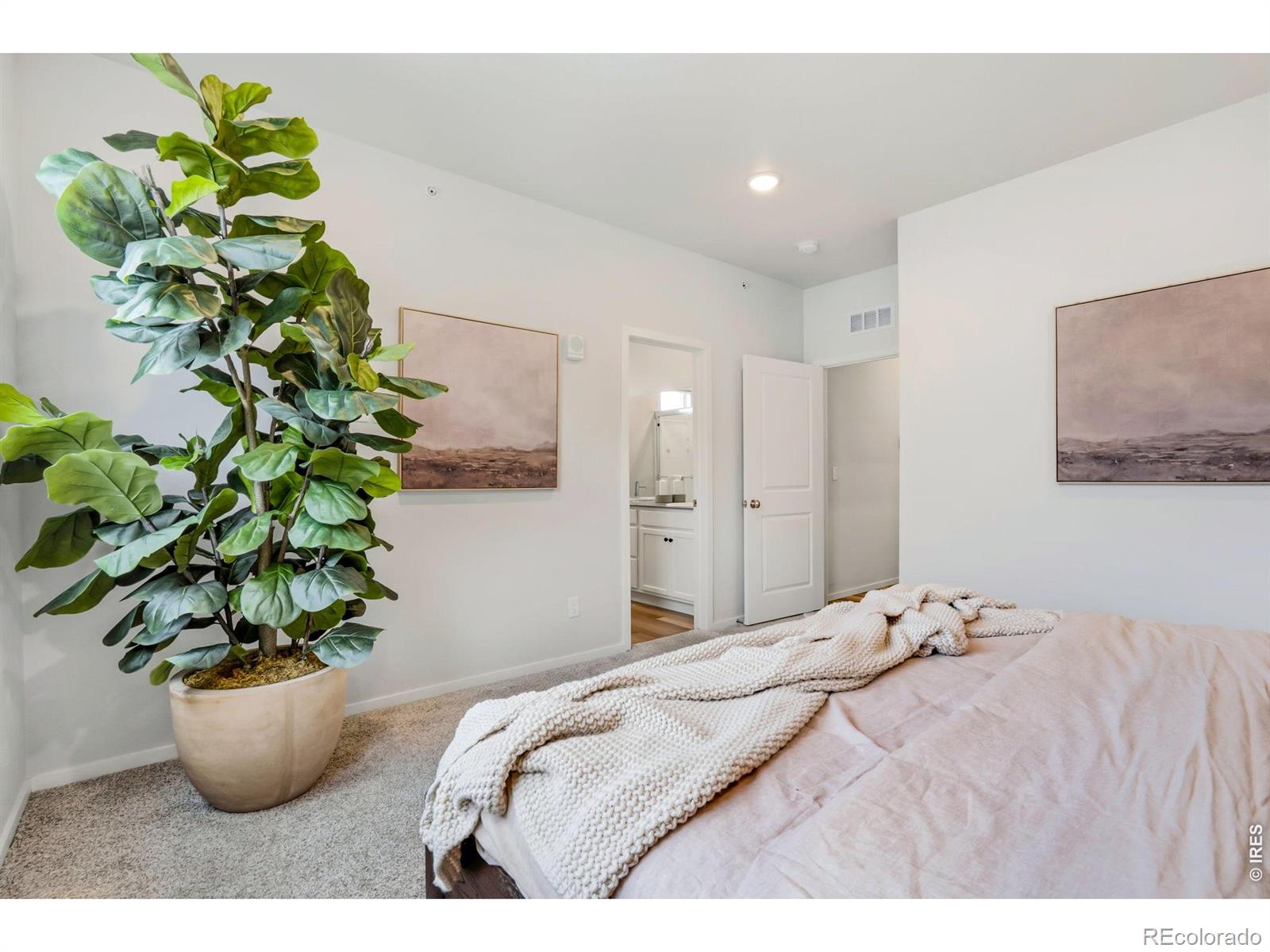533 Vicot Way Fort Collins CO 80524