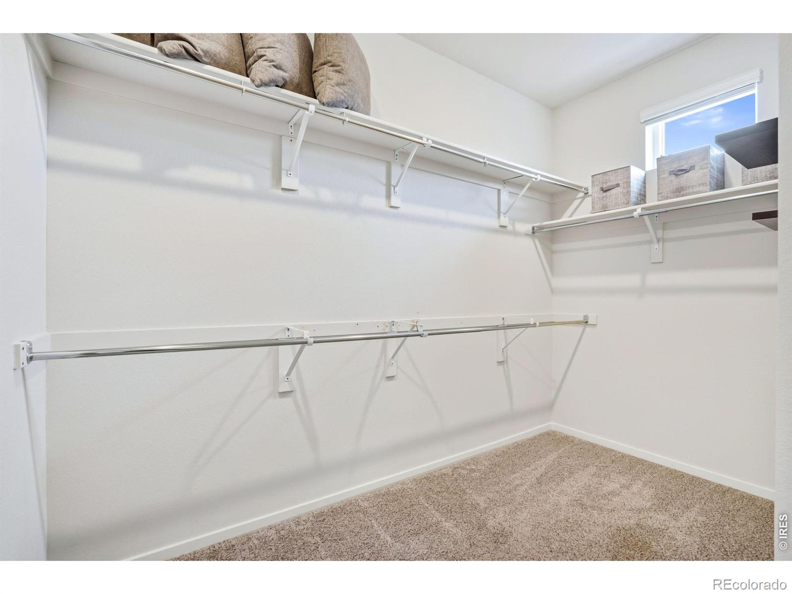 533 Vicot Way Fort Collins CO 80524