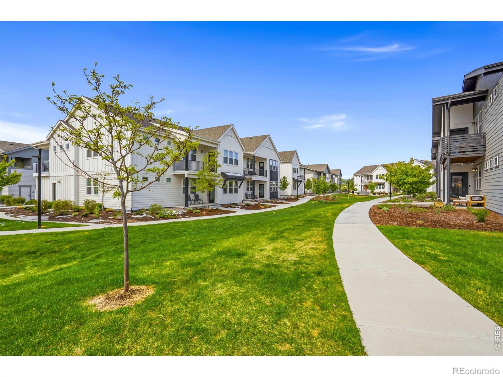 533 Vicot Way Fort Collins CO 80524