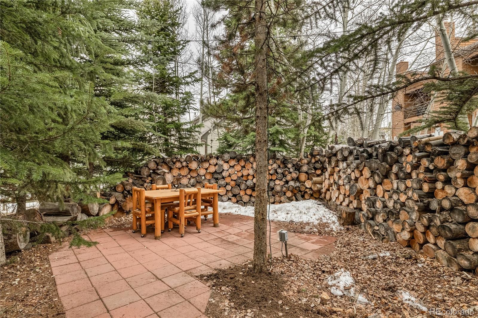 53 Burgundy Circle Silverthorne CO 80498