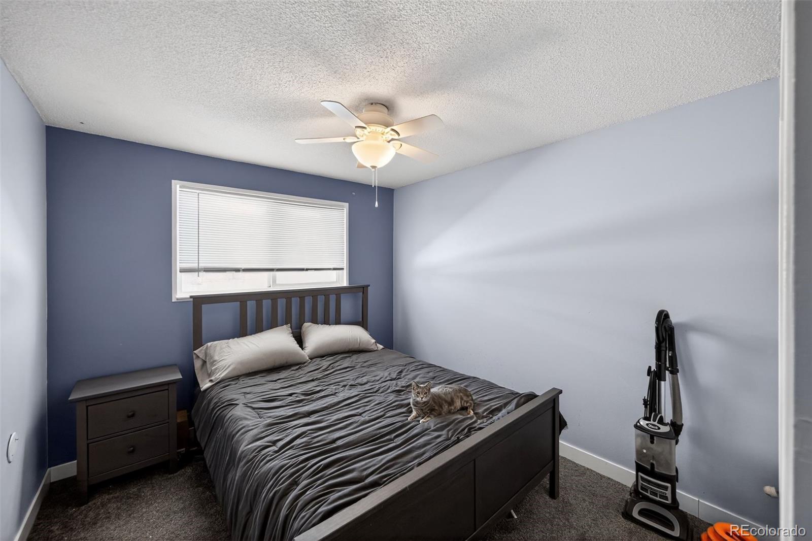 7981 W Glasgow Place Littleton CO 80128