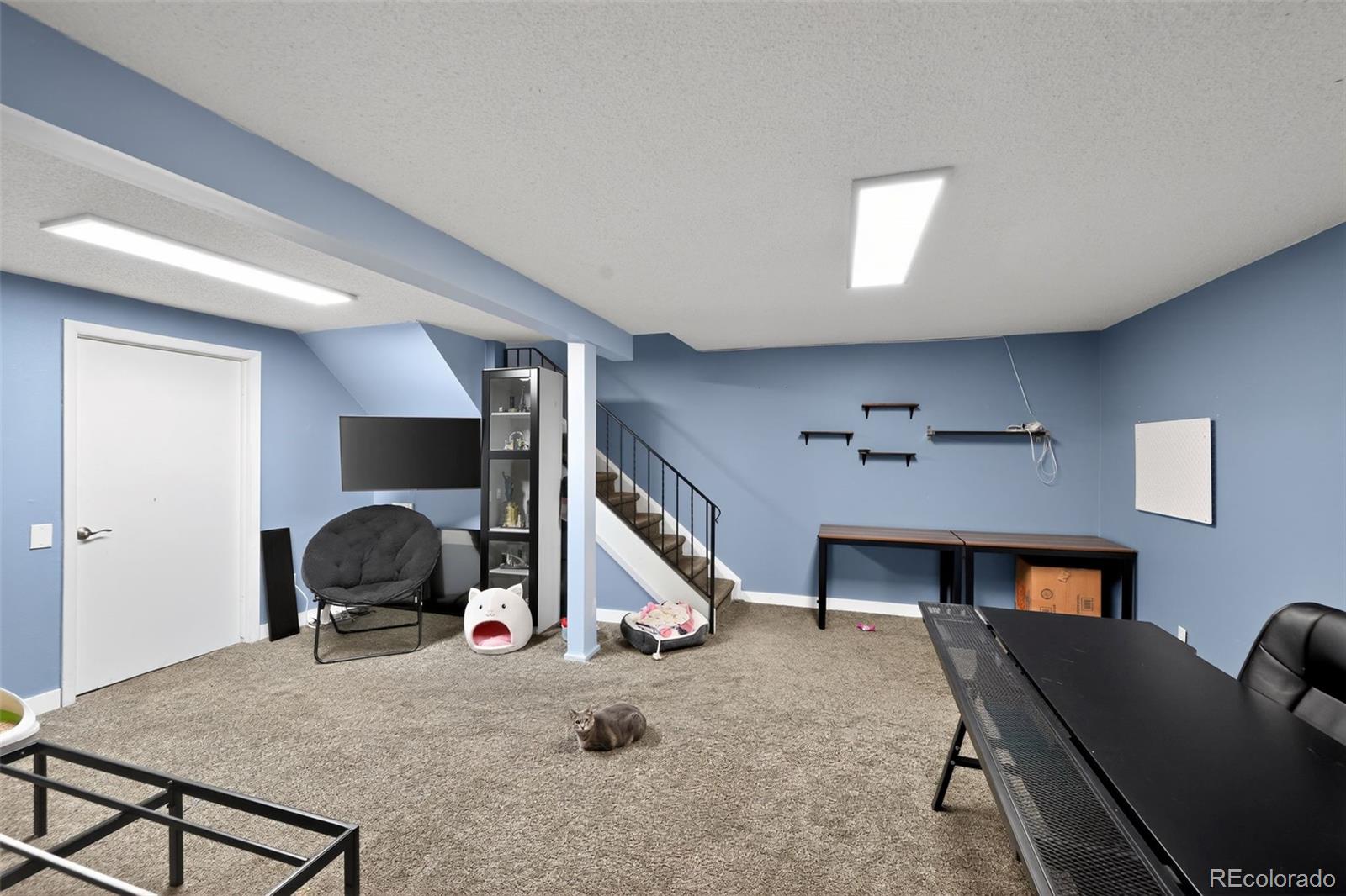 7981 W Glasgow Place Littleton CO 80128