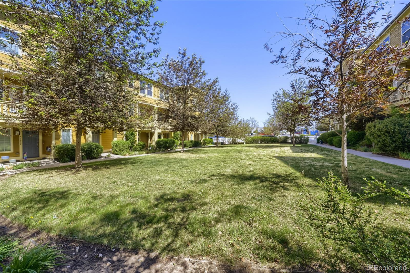 10556 E 29th Drive Denver CO 80238