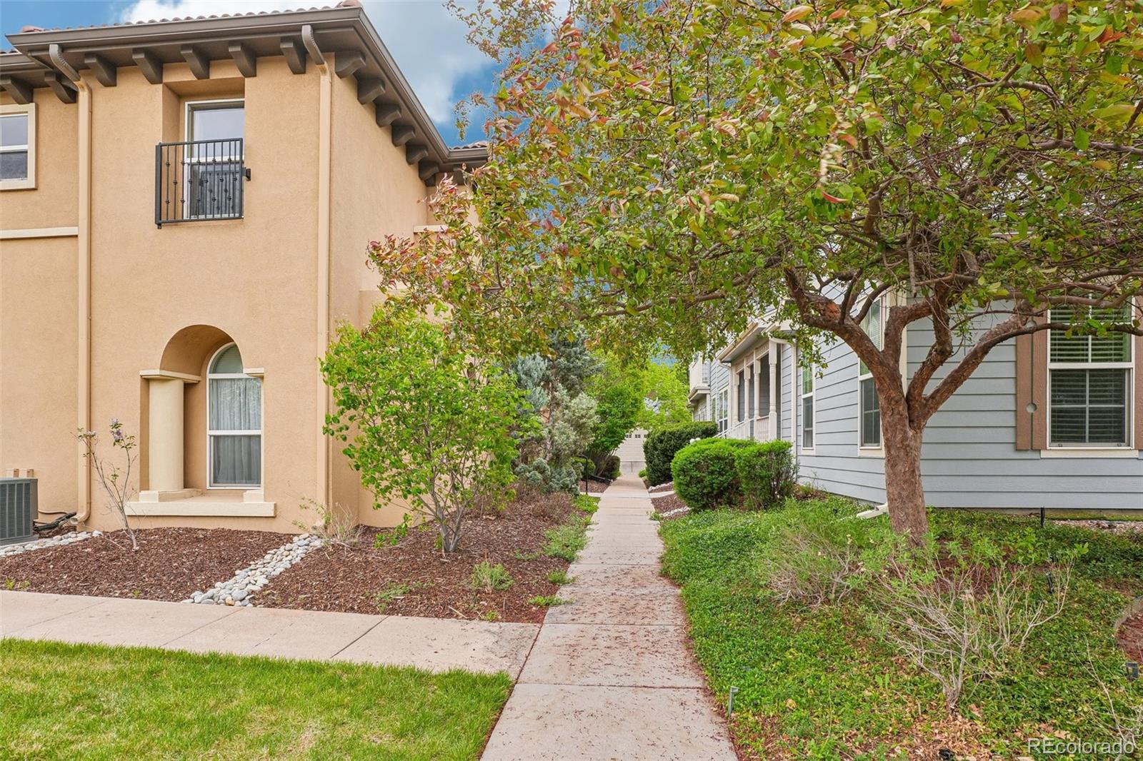 2468 Syracuse Street Denver CO 80238