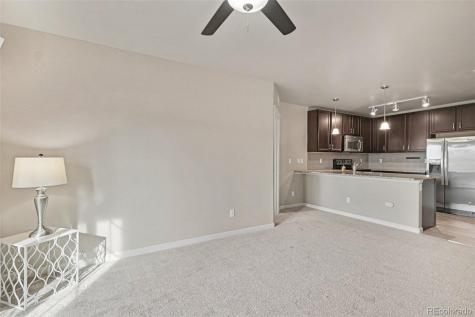 9258 Rockhurst Street Highlands Ranch CO 80129