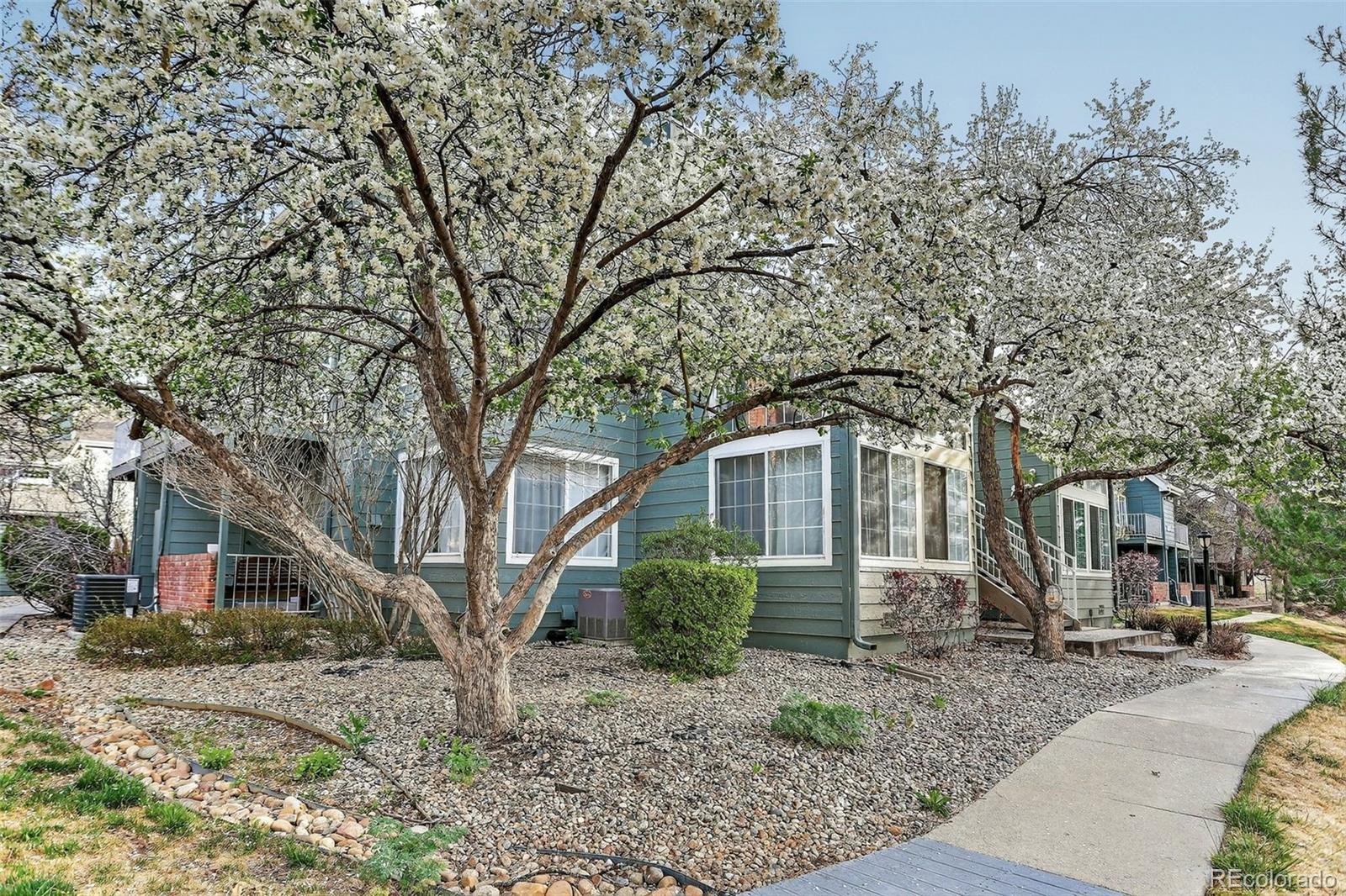 886 S Reed Court Lakewood CO 80226