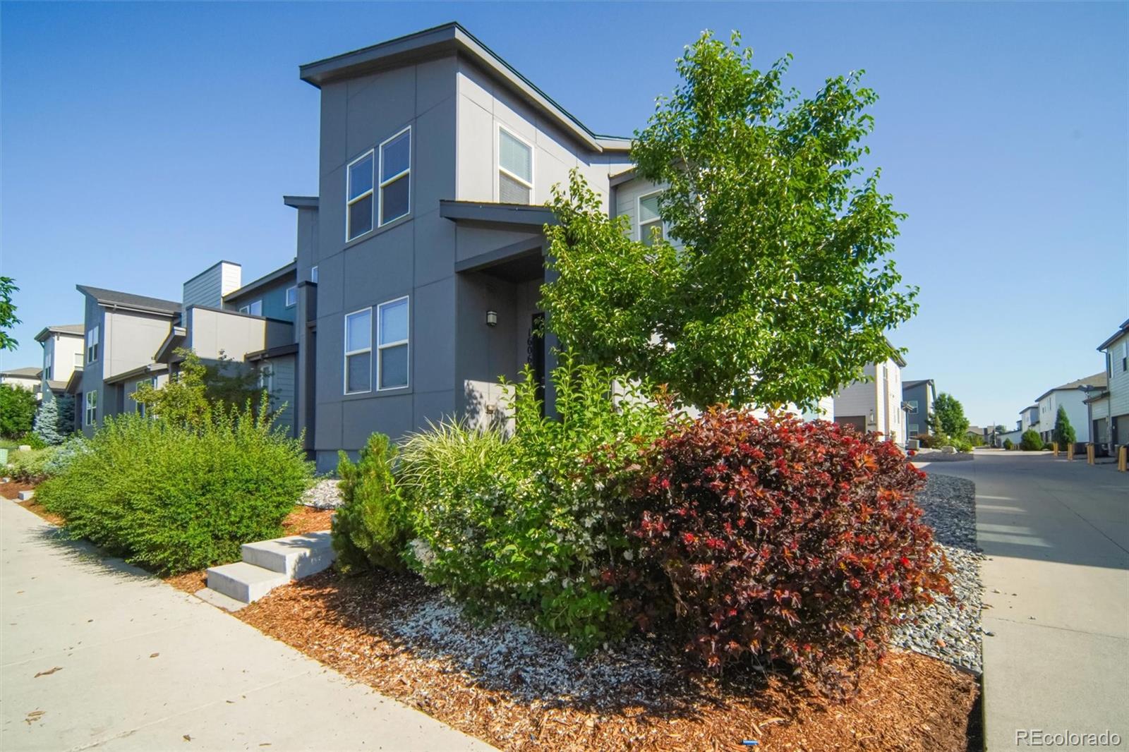 16069 E Elk Drive Denver CO 80239