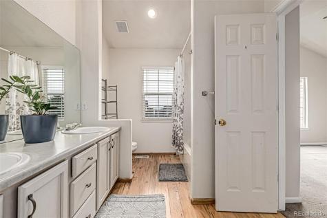 6837 S Webster Street Littleton CO 80128